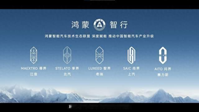 五界同框，为什么站中间的偏偏是智界