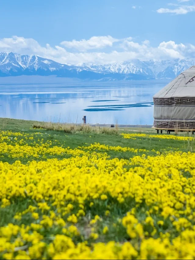 伊犁自驾8天，9月末班车，像风一样旅行