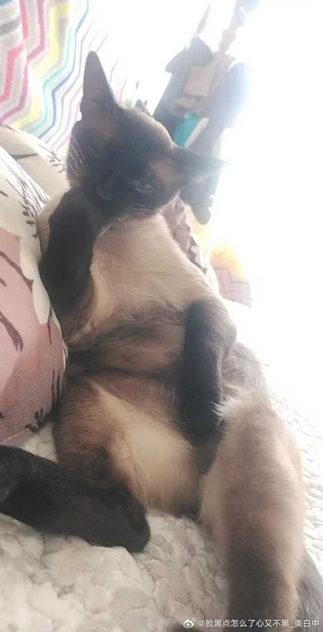 3974只黑脸猥琐 