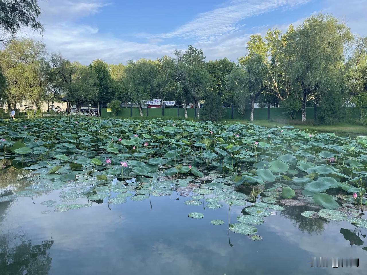【醉桃源•浮萍点水已春深】
浮萍点水已春深，流莺叶底沉。
梨花谢后絮纷纷，牡丹却