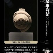 文物回家是归途也是征途  圆明园十二生肖铜像兽首回家展出，让人感受到了文物回归的