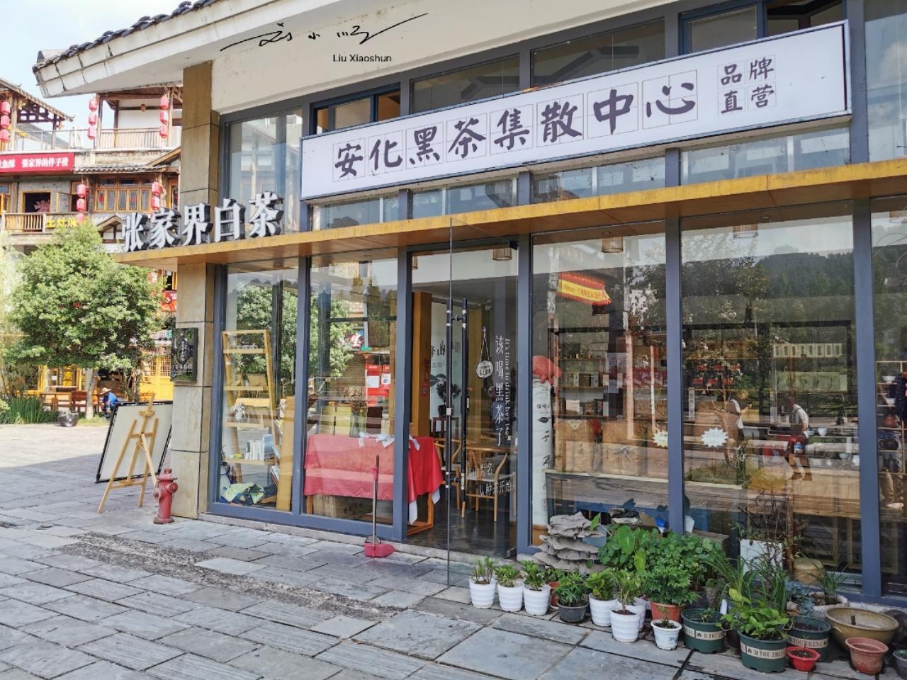 中国“最特别”的一种茶，越长霉越好喝，产于湖南，可媲美普洱茶？

前段时间，我到