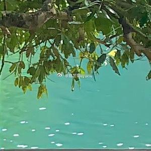 骄阳似火，天空依旧是那片陌生又遥远的天空，没有丝毫变化，湛蓝湛蓝的，特别美。昏昏