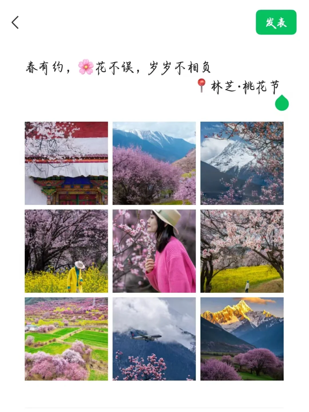 家人们谁懂啊❗️这辈子都没见到过这么多桃花