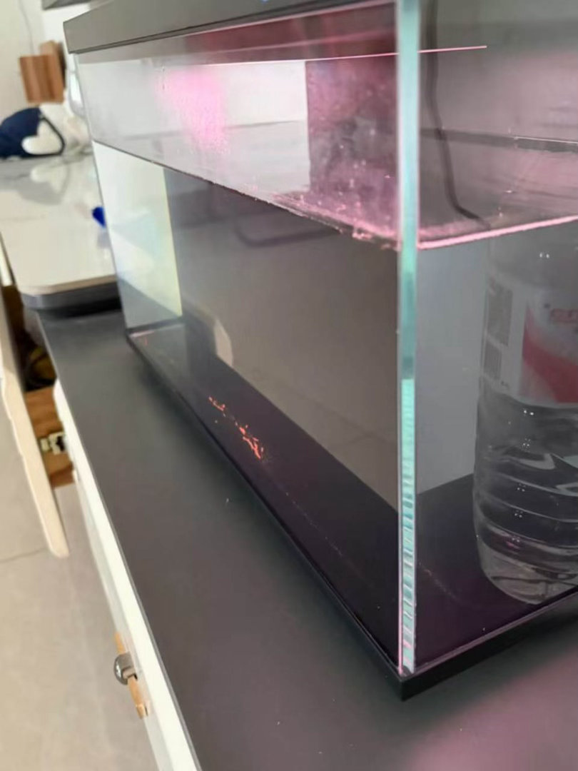 京东宠物节请客全国毛孩子 桌面小型智能鱼缸太治愈啦🐠米家智能桌面生态鱼缸，小巧