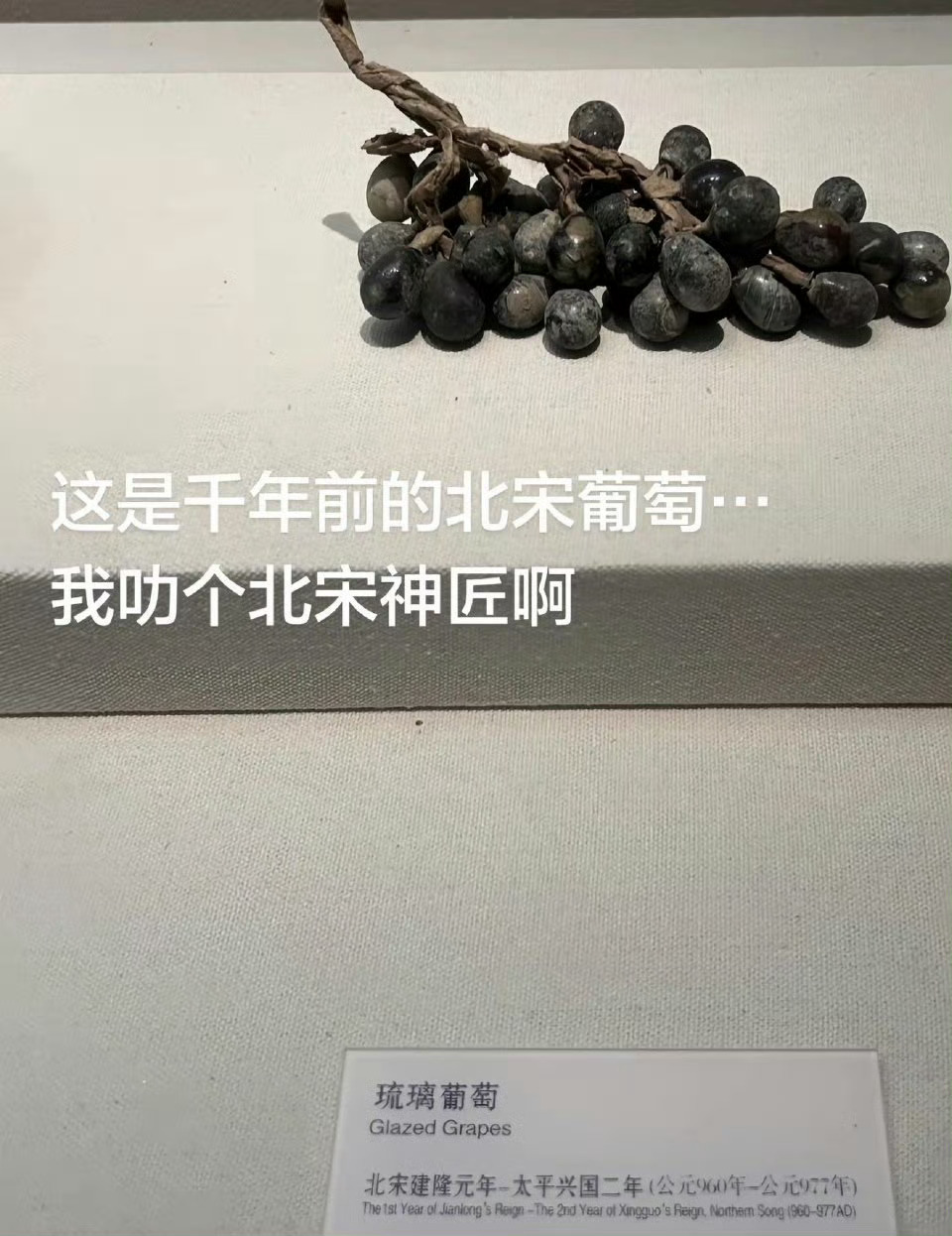 第一次被中式美学震撼到 初见园林里的月洞门，框住四季流转的景致，一步一景藏着“藏