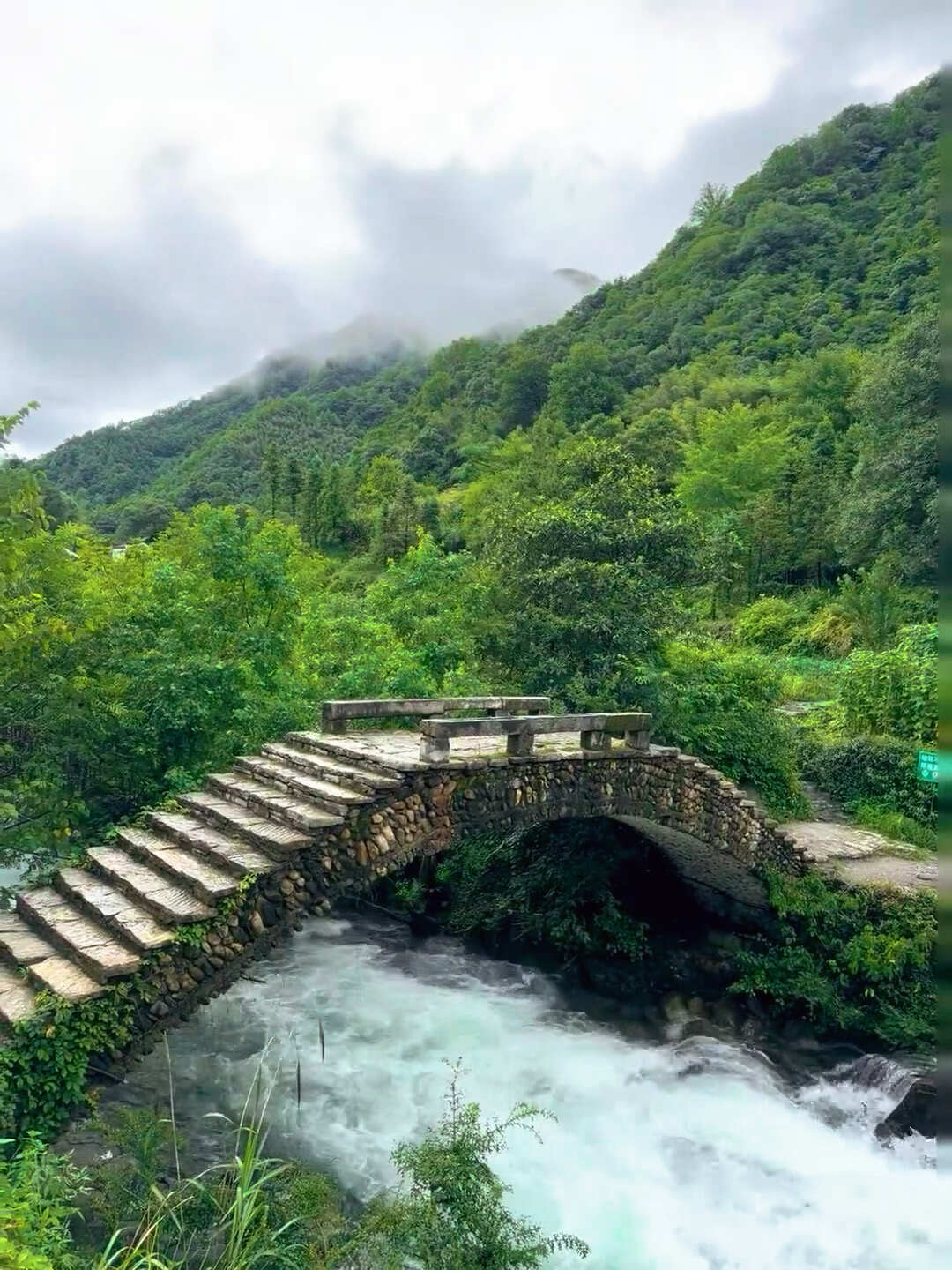 🍃 “ 天然氧吧 ”最近感觉都快成 文旅宣传大使了沈阳 最后一张 记录一下我的