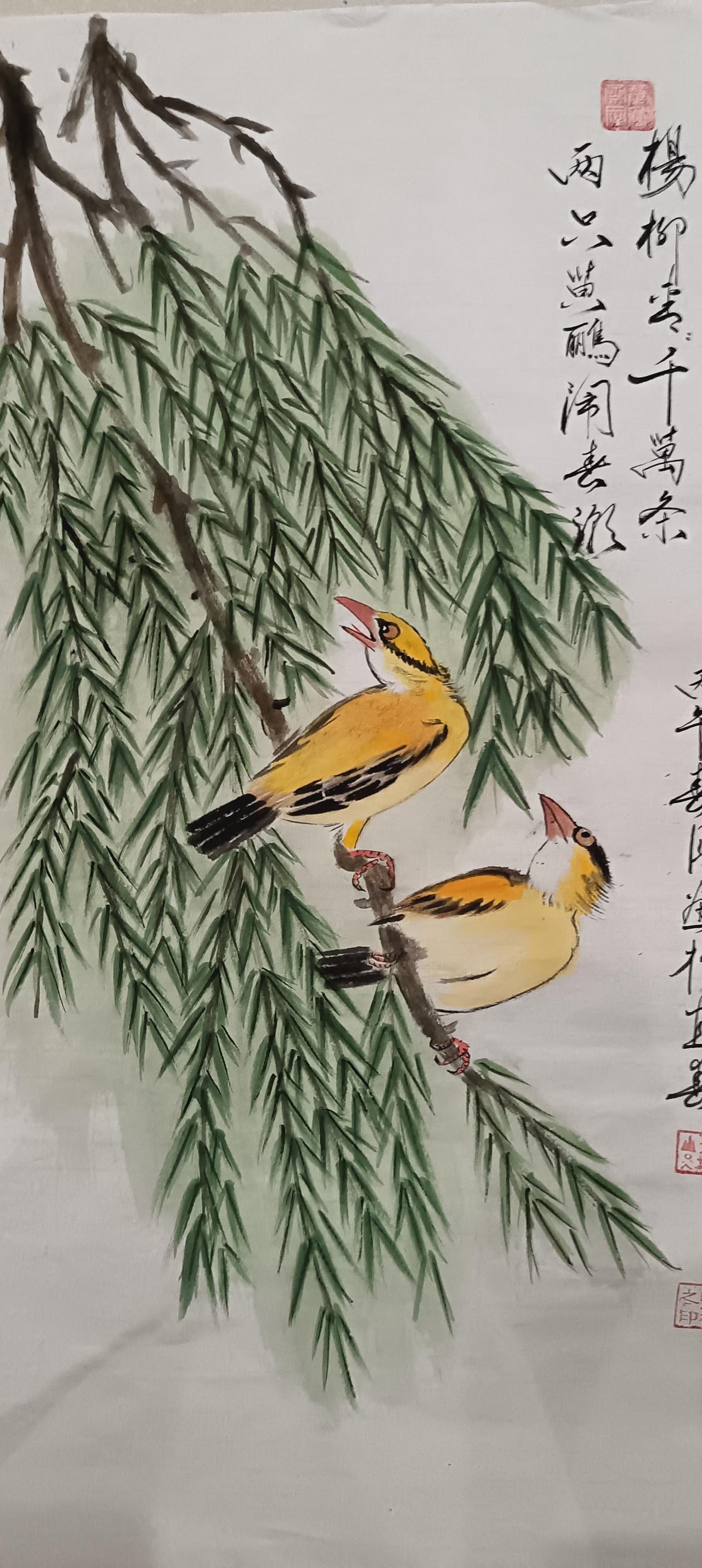 楊柳青青千萬条  两只黄鹂閙春潮