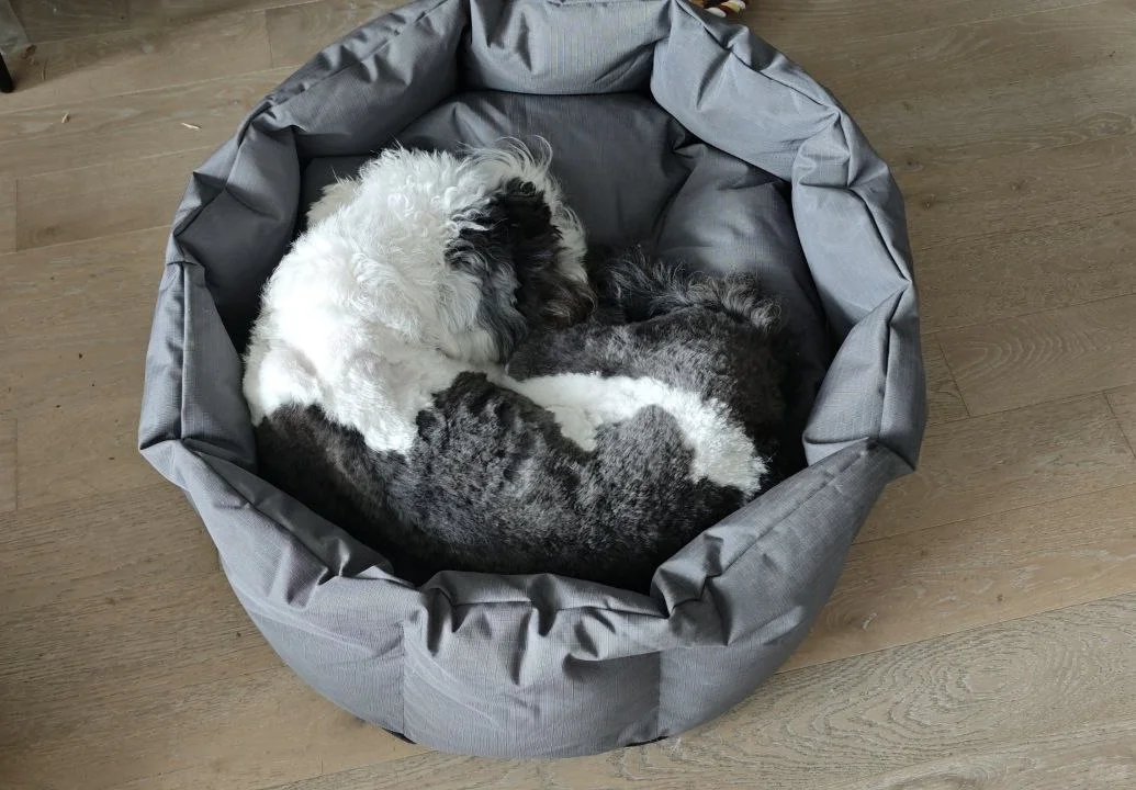 所谓WLB其实就是把工作融入生活…