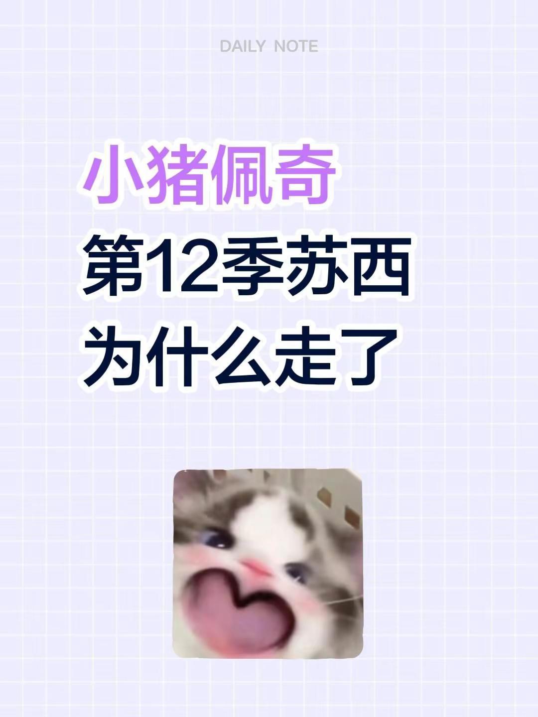 小猪佩奇第12季苏西为什么走了