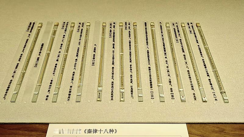 秦朝时，个子矮犯罪能免罪？

1975年，湖北出土的秦简记载了两件有趣的事有趣的