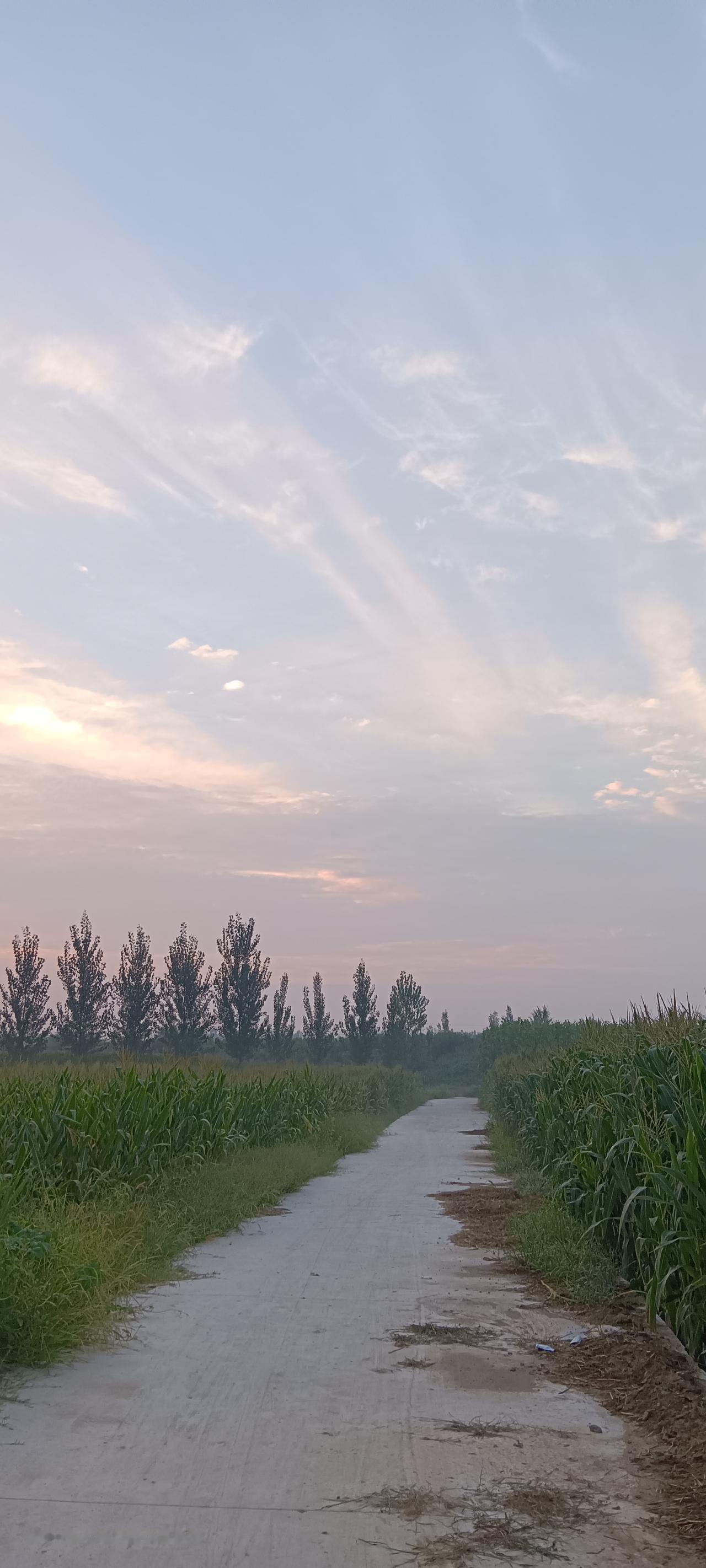 说发条文是想赚钱，但现实看上来其实早已经不中。
我2026年的上半年的六个月一共