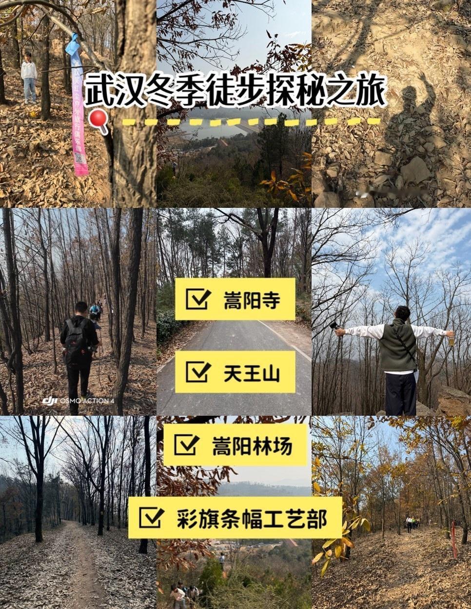 温暖的冬山徒步路
📍武汉 
打卡赴时令之约被嵩阳寺环线美到失语！免费开放还人少
