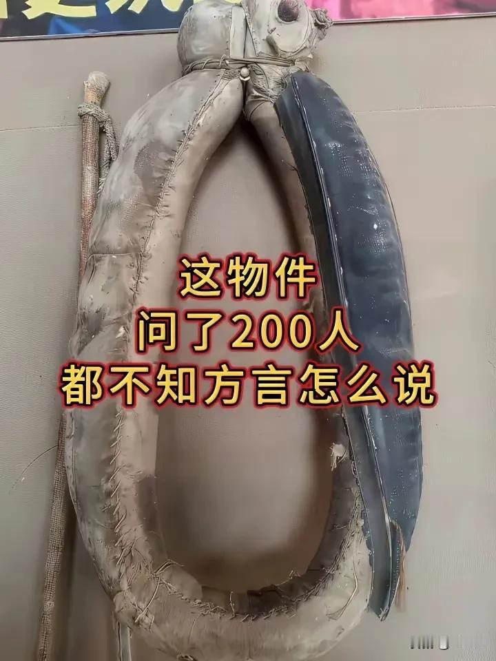 这物件问了200人，都不知道方言怎么说，你知道吗？