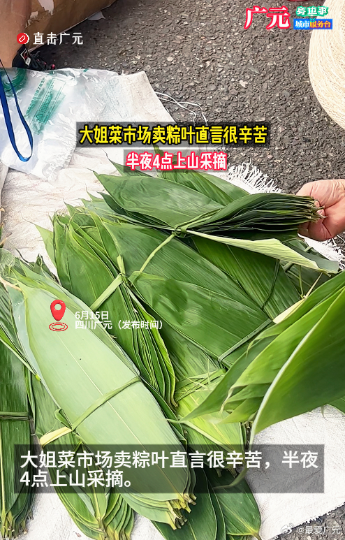 【广元大姐菜市场卖粽叶直言很辛苦】6月16日，四川广元。广元大姐菜市场卖粽叶直言