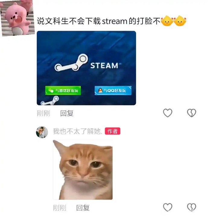 “哇，你也玩steam啊！你哪个区的？我四川一区，主玩生化模式，经常在圣杯战争频