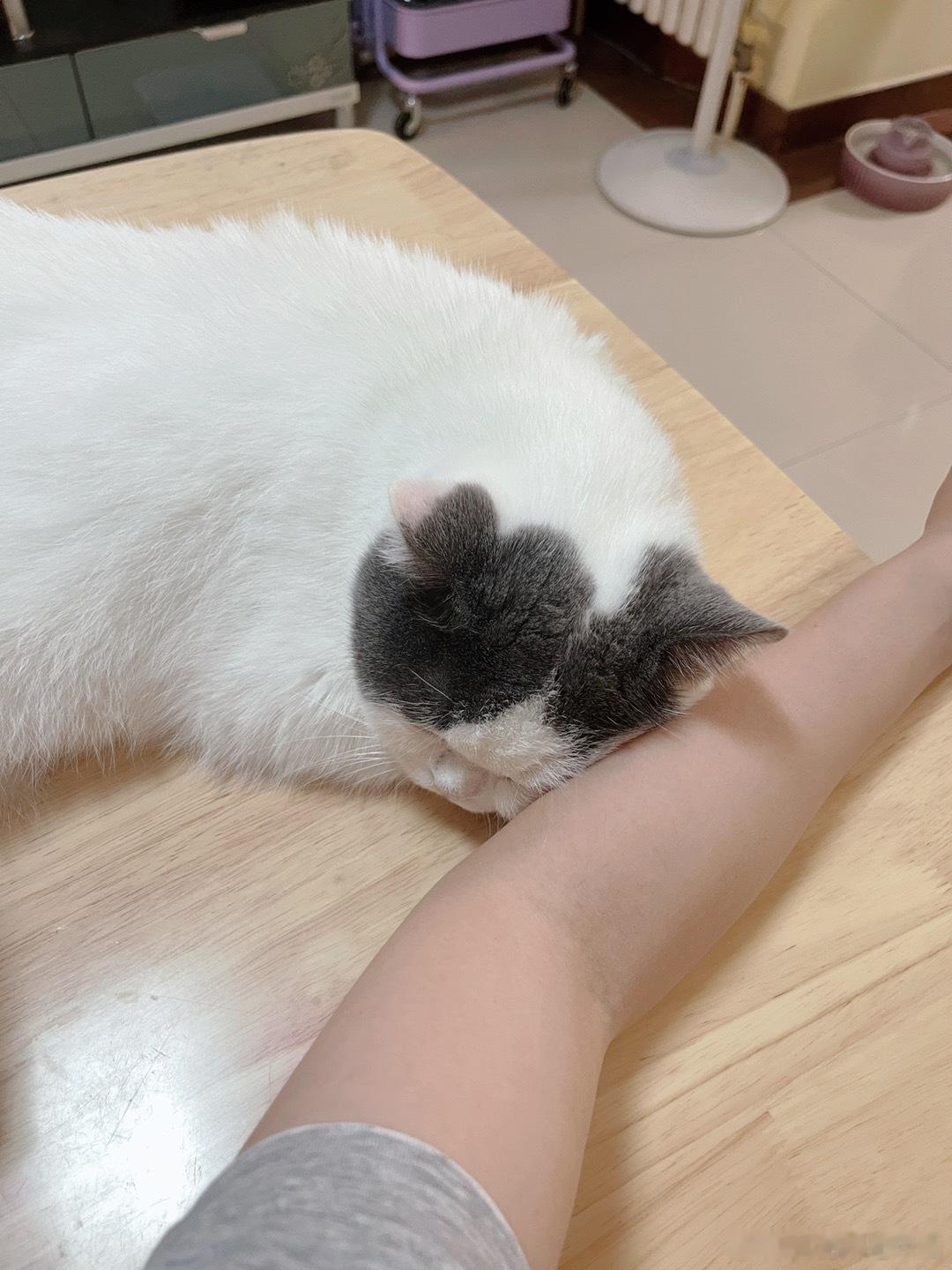 哎呀 ​​​