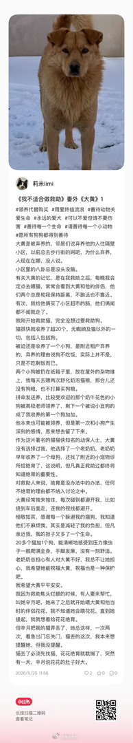 写个番外，祝大黄平安长寿健康幸福过完狗生，大家一起祝福他们保佑他们。兔小九九的星