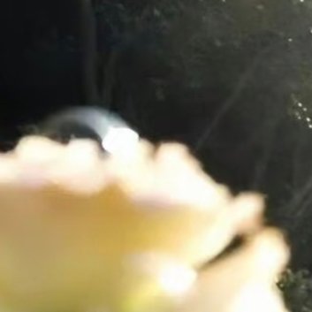 阳光信用[超话] 🌞每日一善 善良是一种修养，善待他人就是善待自己，要想得到别