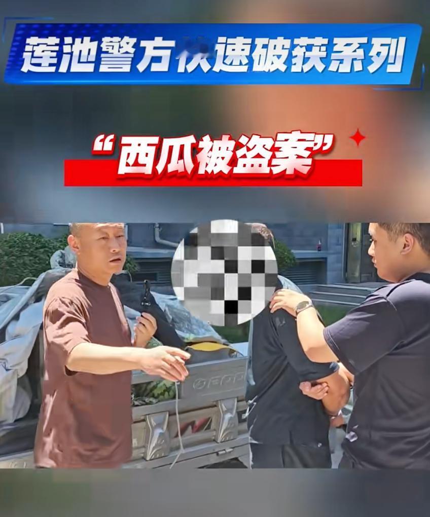 偷西瓜的贼逮住了！就在大家还在讨论“几个西瓜值不值得这么折腾”的时候，莲池公安迅