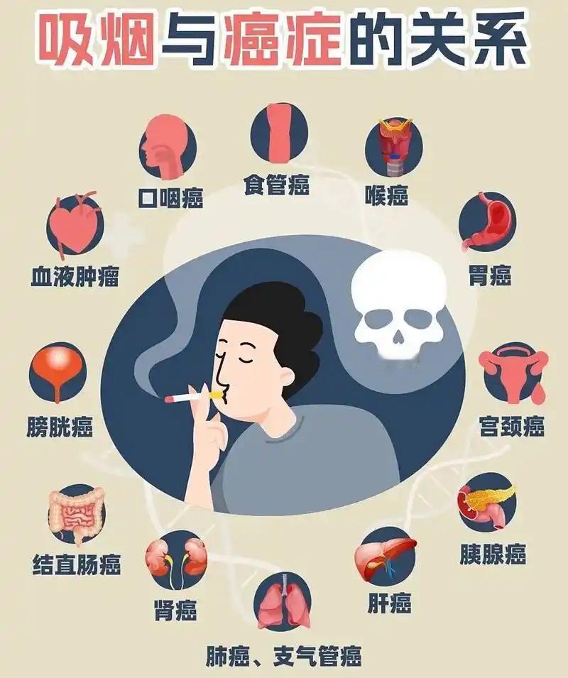 🌺公共健康层面的核心价值
烟草烟雾含7000多种化学物质、69种致癌物，不存在