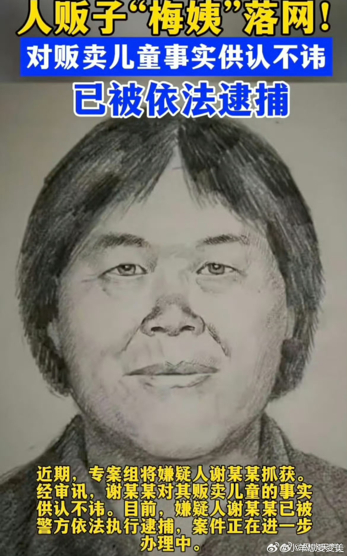 央视公布梅姨案细节 二十余年悬而未决，一个代号牵动无数人心。从2003年第一起儿