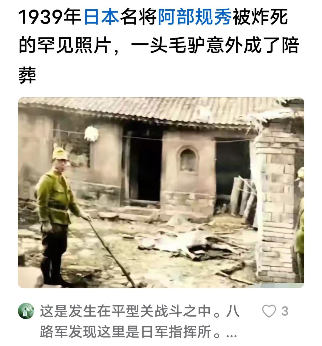 换个角度看，历史很有趣。
   1939年日本名将阿部规秀被炸死，一头毛驴成陪葬