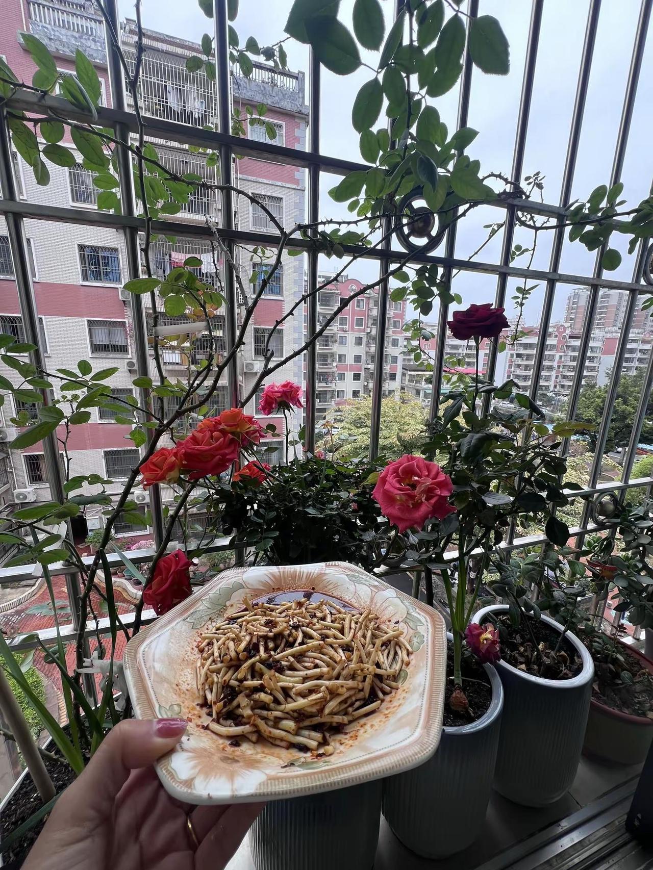 我也想不到，🈶一天会深深的爱上它