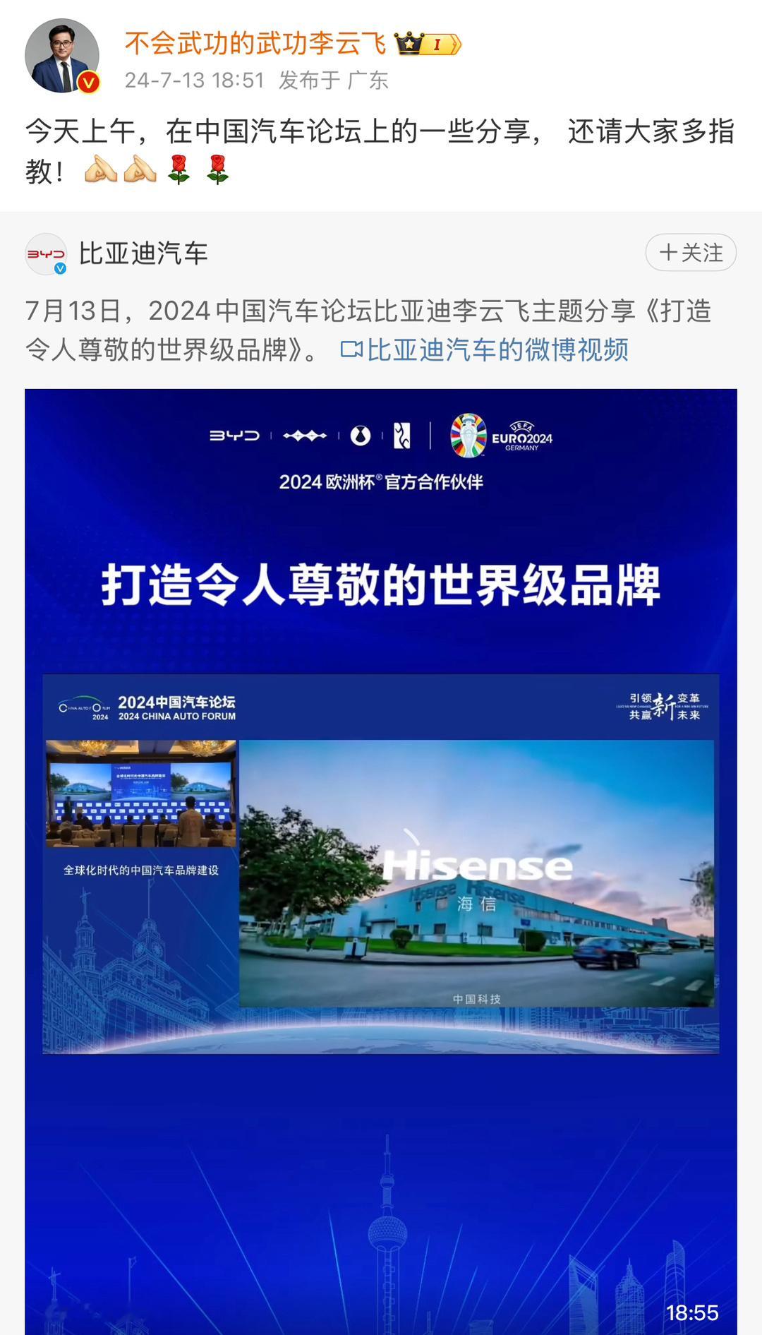 #中国新能源汽车表现出色# 看了下乘联会2024上半年批发销量排名，在前十名里面