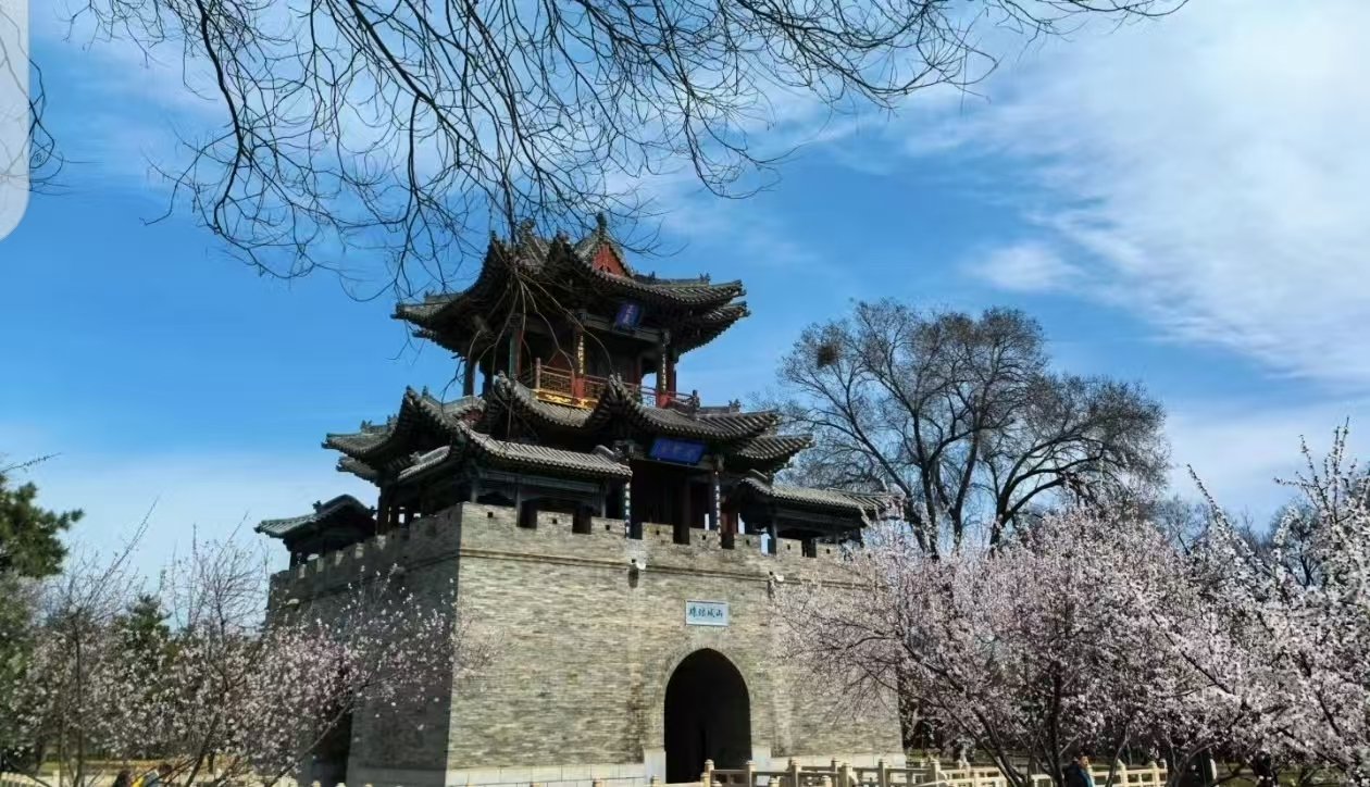 秦岭笑谈飞猪免单怎么玩 为什么没人聊今天的长安二十四计啊😭张默以身入局一心求死