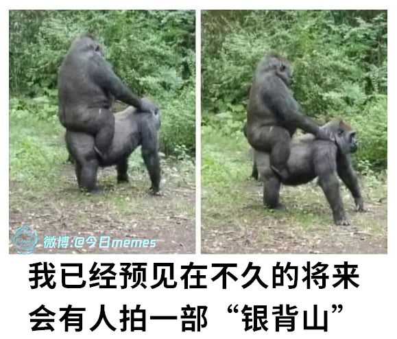 该有了（9gag）今日meme[超话]今日memes ​​​