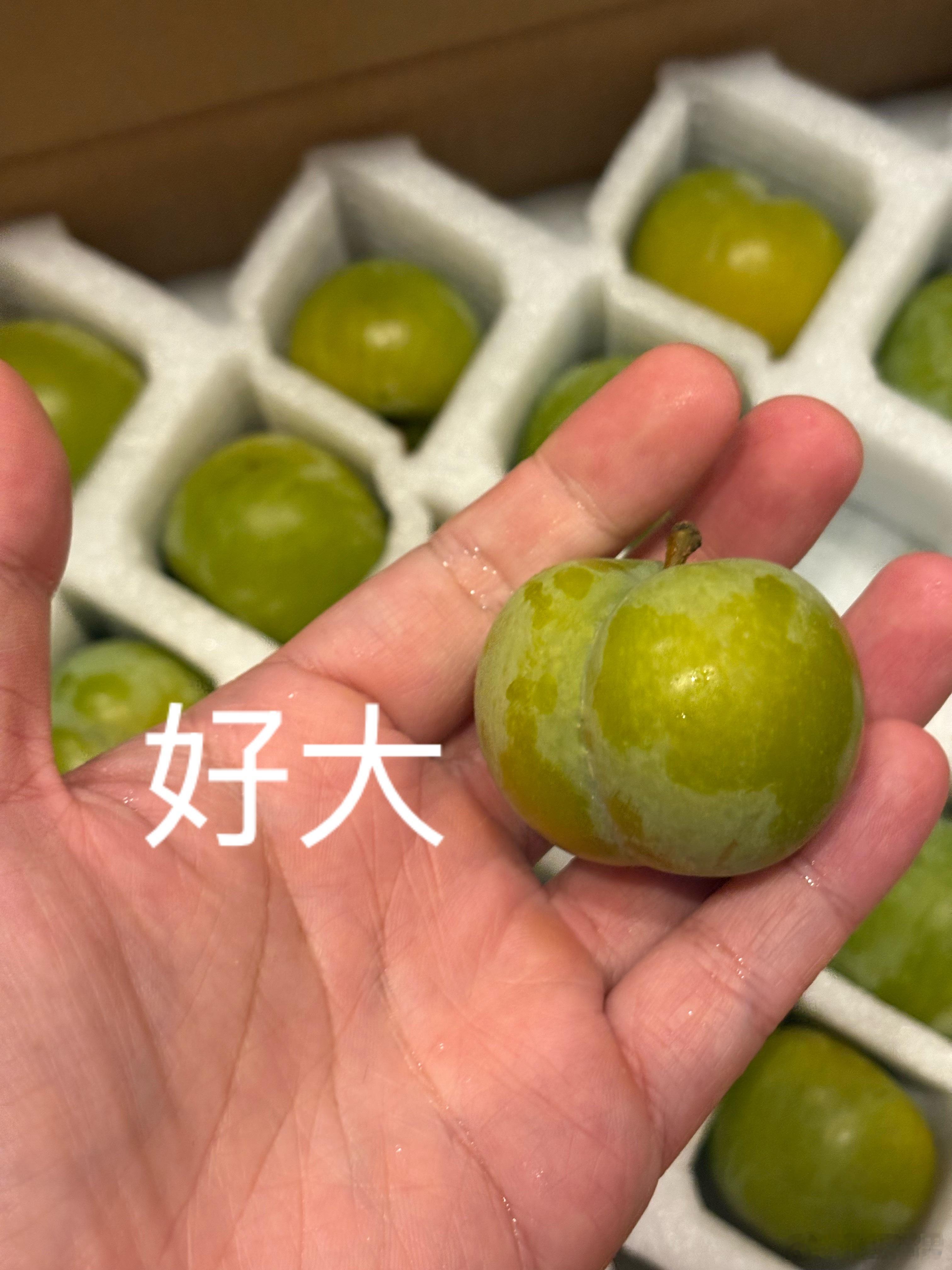 怎么会有这么大的李子！ 