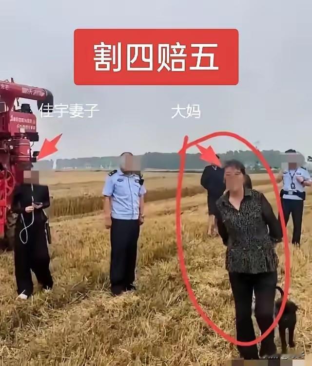 割四赔五”新晋奇葩闹剧！农户反复改口，收割师傅被坑到无语
 
麦收时节，一个新词