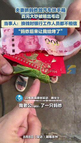 “这下后悔了吧！”湖南永州，一对夫妻抓了只蚂蚱后，便随手放在了汽车的扶手箱内，没