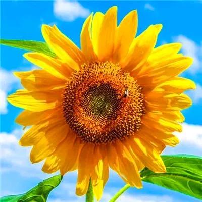 我准备要断更了，腰反反复复疼了一个月了，估计和我写文章有关系，从今年4月17至今