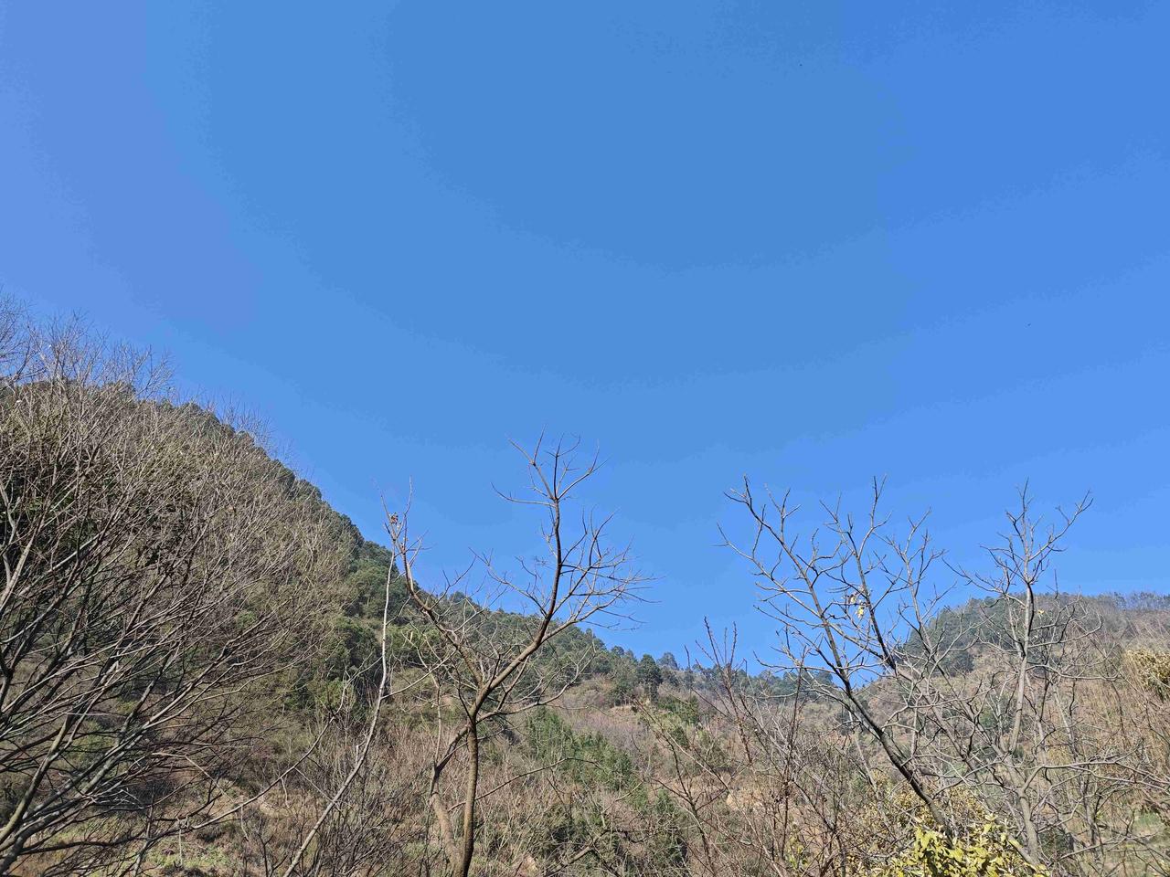 今天是腊月二十七，大家回家了吗？
回家以后感觉看什么都好，除了天气太干燥，风大没