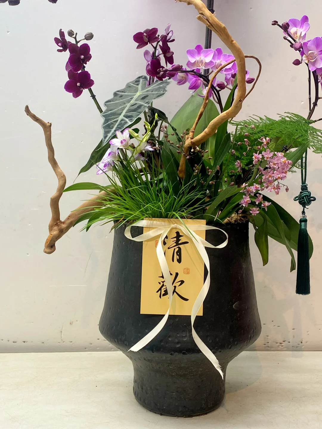 做100款与众不同的龙兰No.2