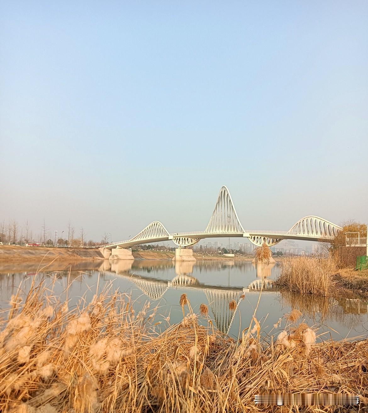 我真的不知道该说啥好！坐地铁1号线去看看最近重新开门迎客的咸阳沣河森林公园，结果