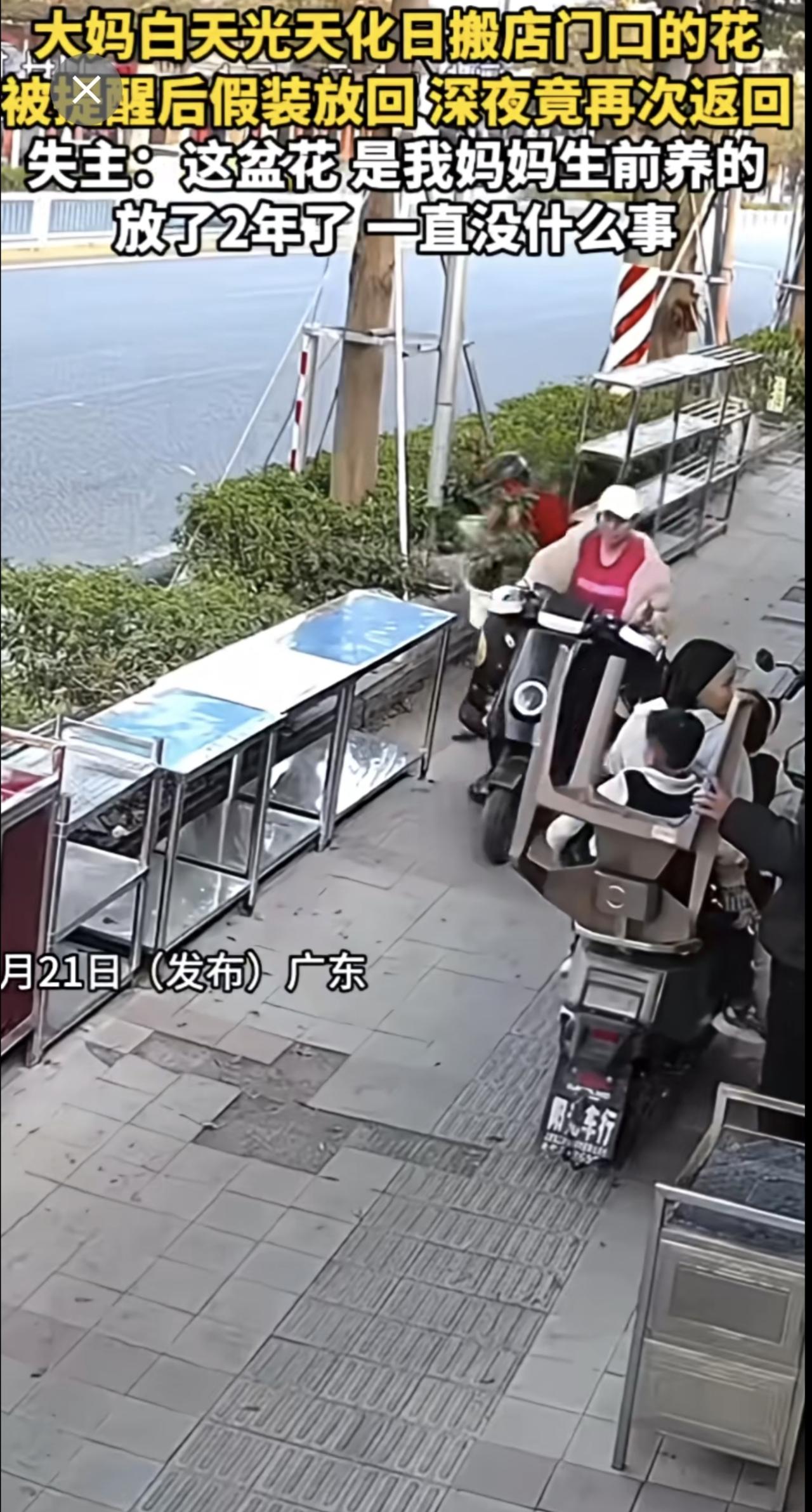 大妈白天光天化日搬店门口的花
被提醒后假装放回深夜竟再次返回
