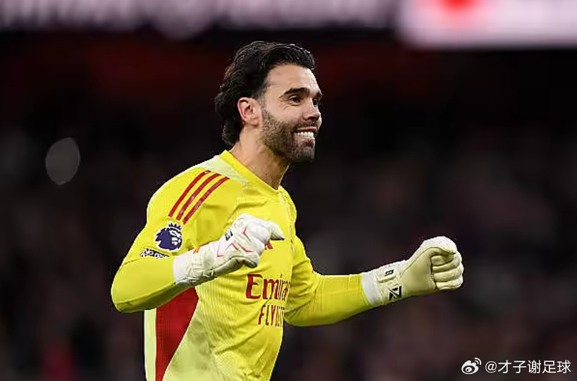 五大联赛各项赛事实现20场零封，拉亚是本赛季门将第一人拉亚阿森纳