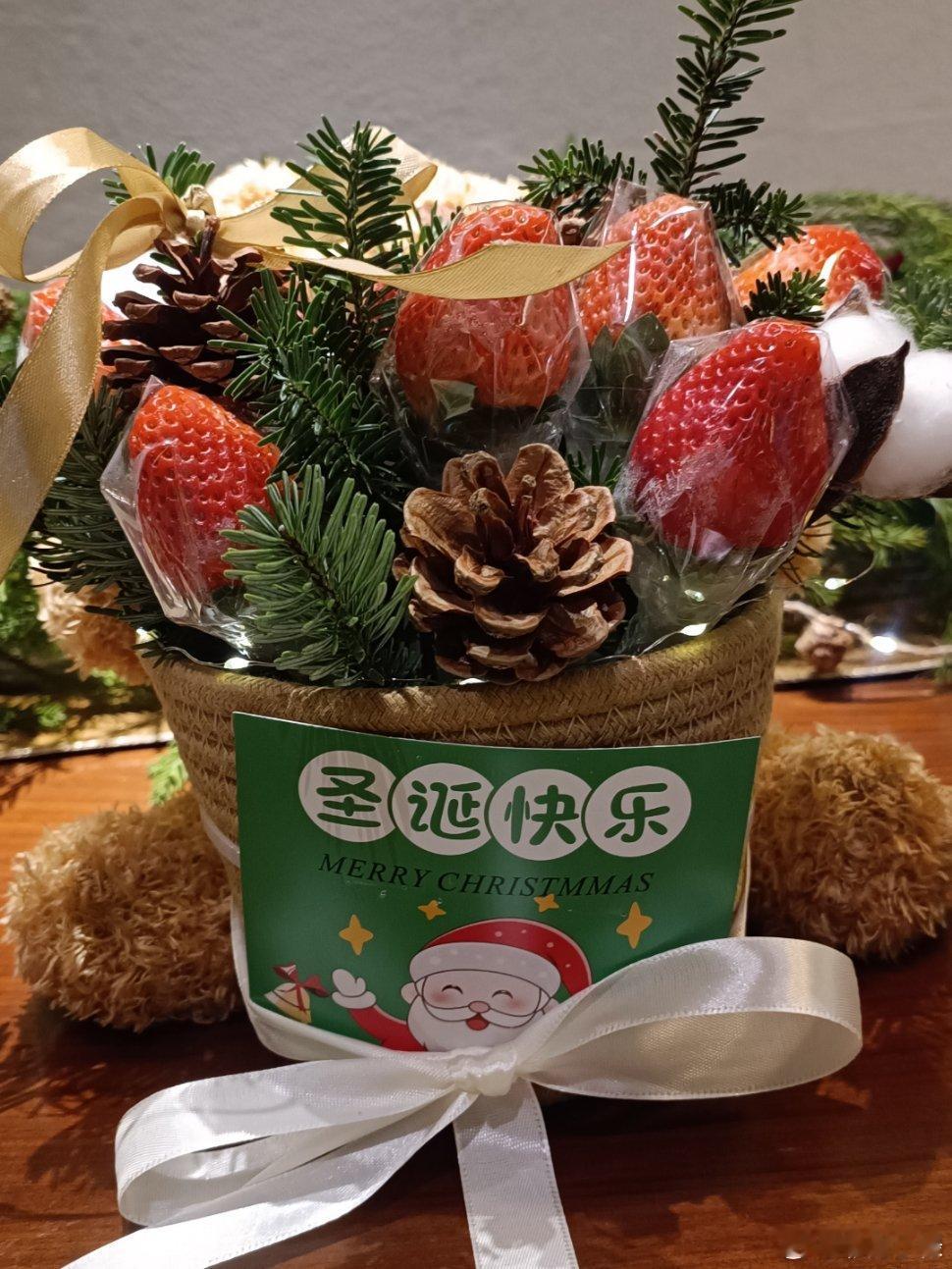 宠物写真 自由自在的小动物们。 