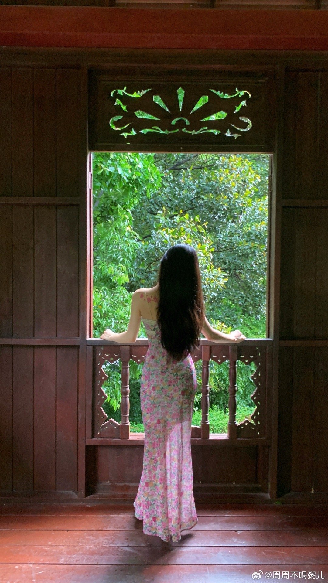 一窗一景 六合听涛 东莞·东莞植物园