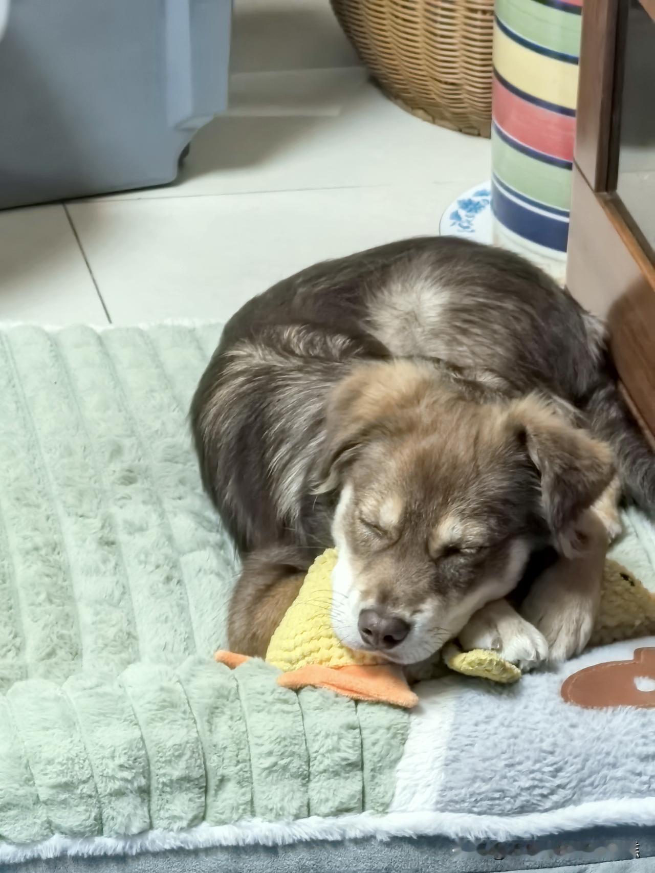 恶心的同事年年有，修炼大肚能容天下难容之事的心量，让它随风而去不拿正眼夾她[捂脸