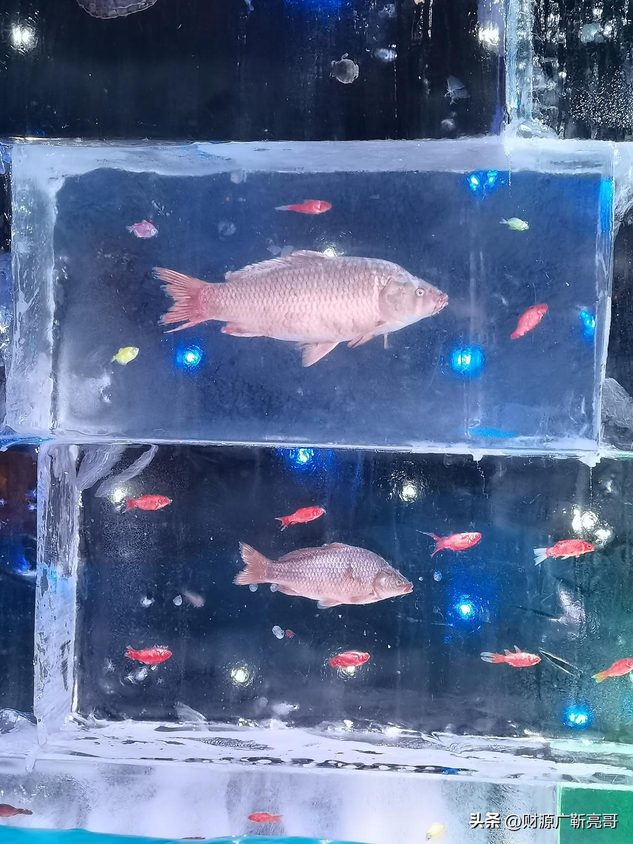 幸福从不是遥不可及的宏大理想，而是藏在日常里的细碎温柔。它不必家财万贯，也无需万