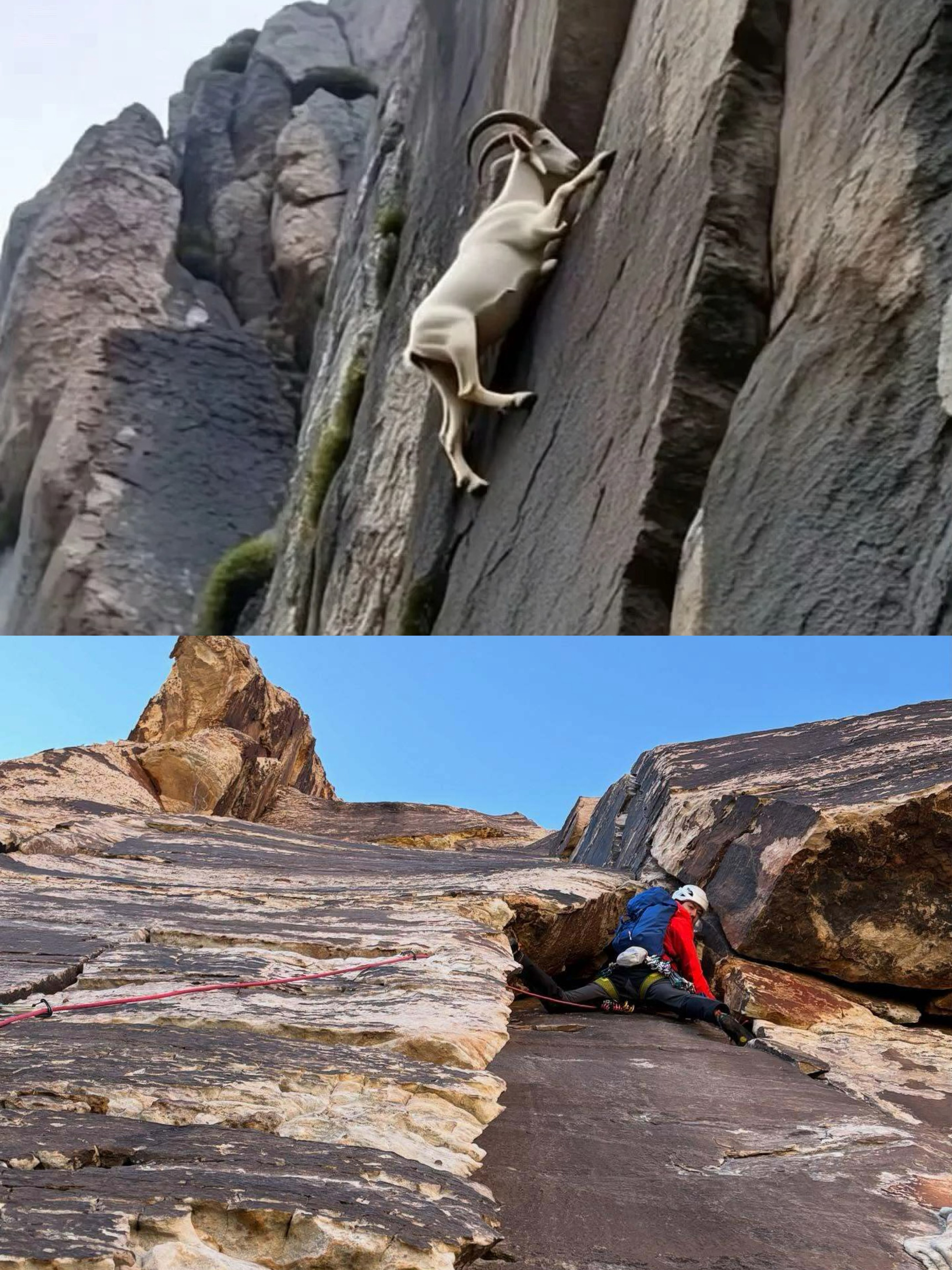 王一博更新ins嗨～  岩羊粉来了王一博[超话] ​​​
