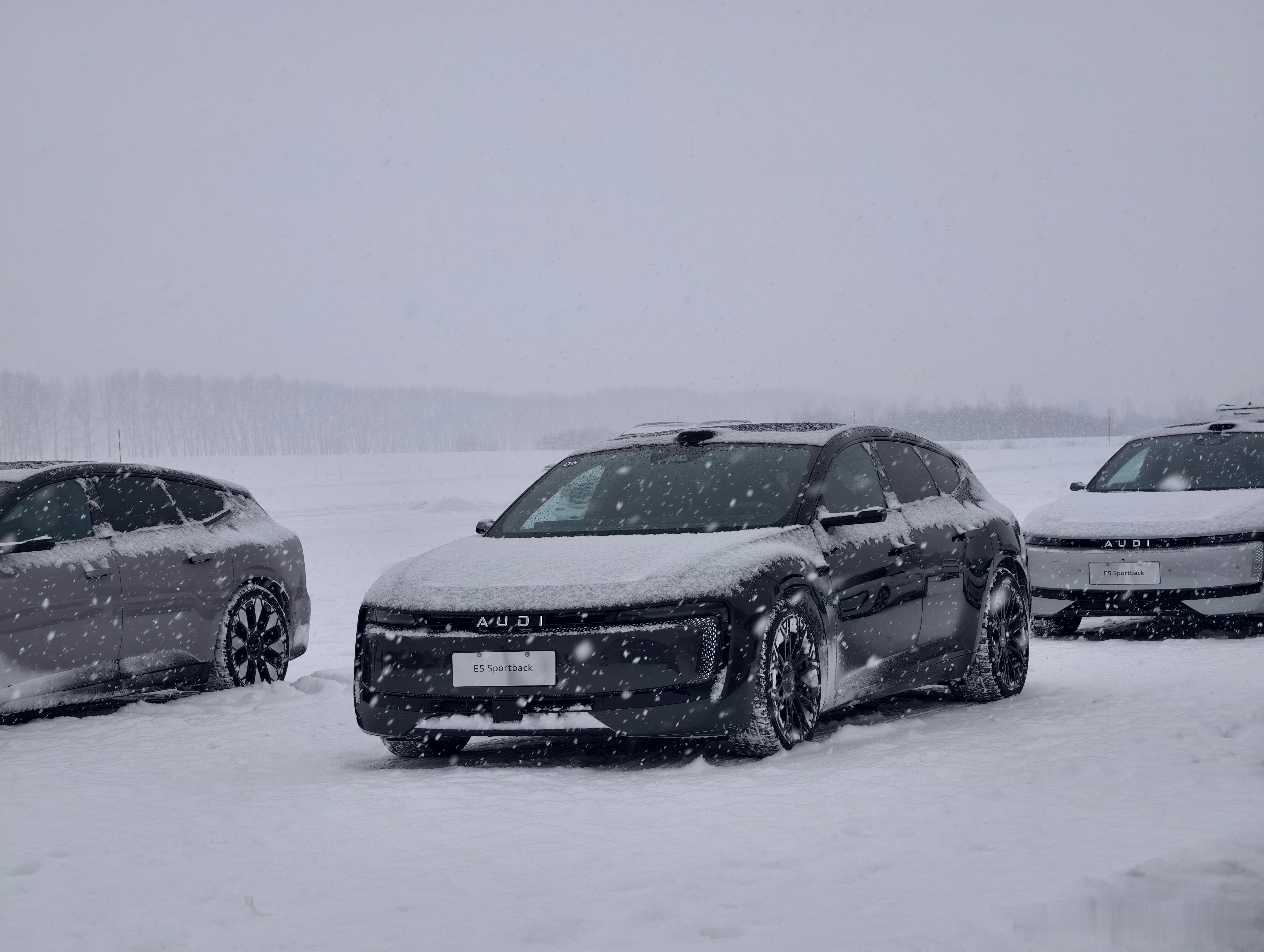 太帅了，而且好开。后驱稍微有点难以驾驭，但是四驱就太易上手了。真就只管开，剩下的