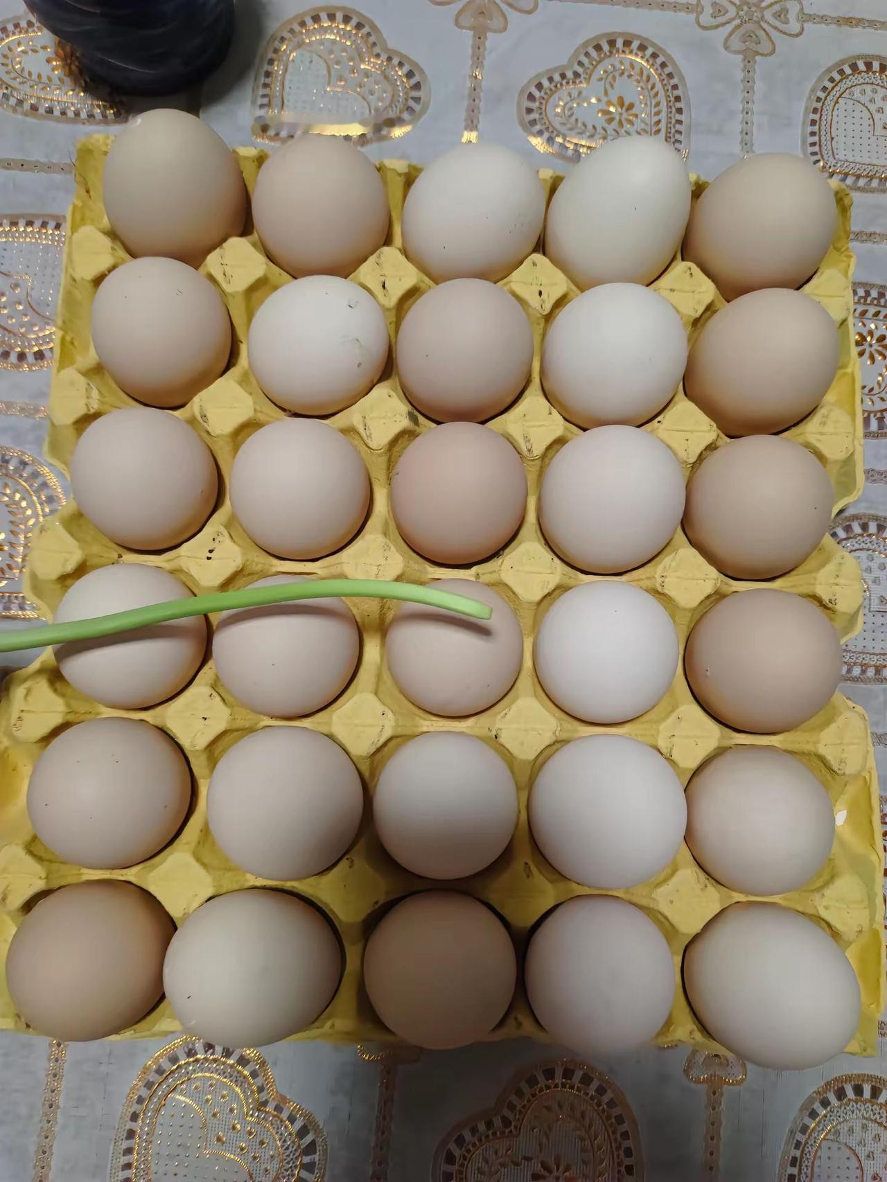 鸡蛋鸡蛋。斯诺克世锦赛1/4决赛，吴宜泽1...