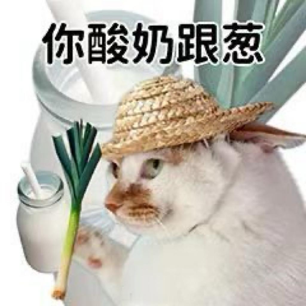 哈哈哈哈哈哈哈哈这个表情包好搞笑 