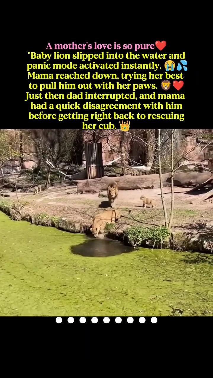 panic mode activated instantly. H Mama r