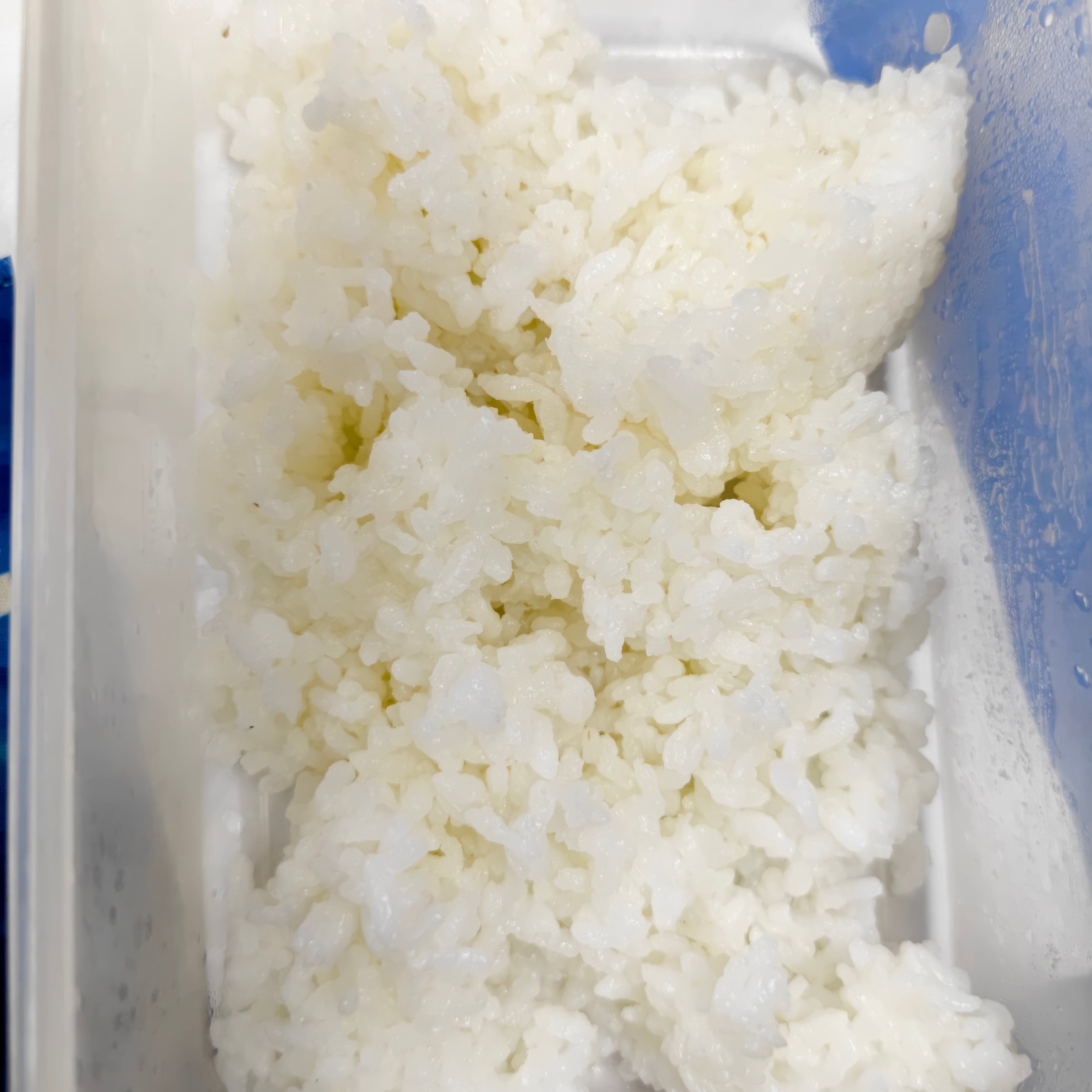 粉丝先吃 